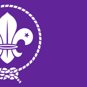 Scout logo