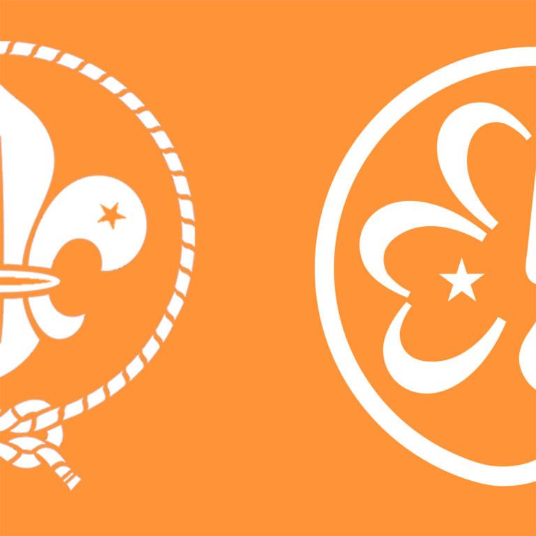 Joint WAGGGS and WOSM logos